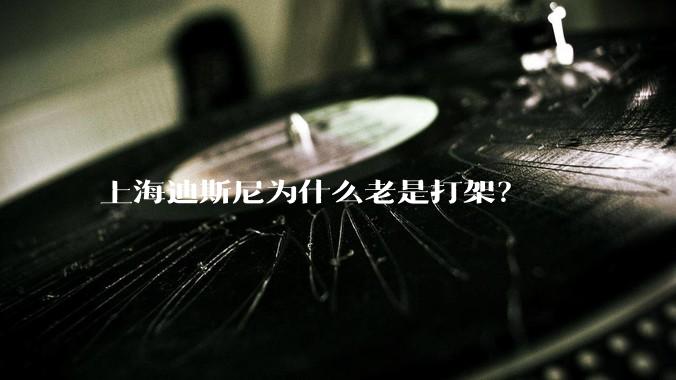 上海迪斯尼为什么老是打架？