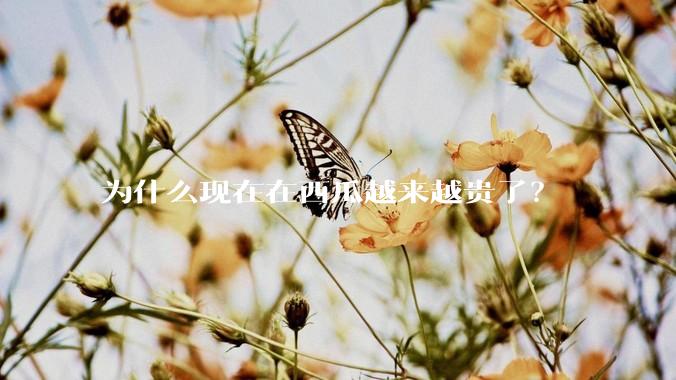为什么现在在西瓜越来越贵了？