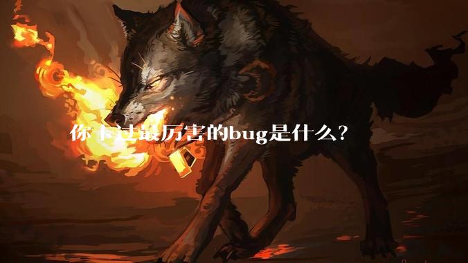 你卡过最厉害的bug是什么？