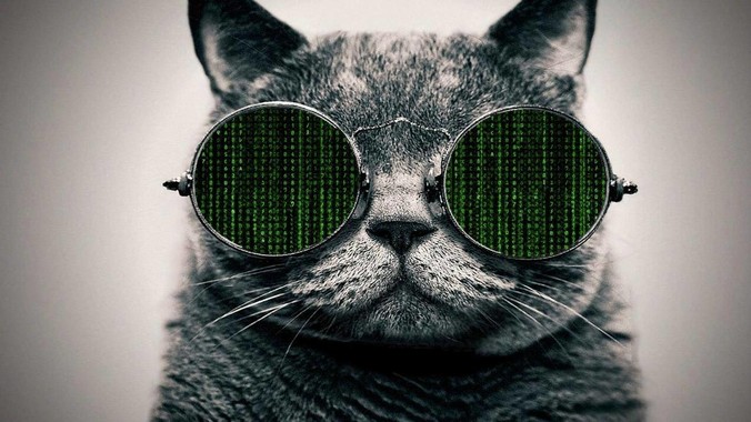 为什么openai的sdk只提供了python和js两个版本？